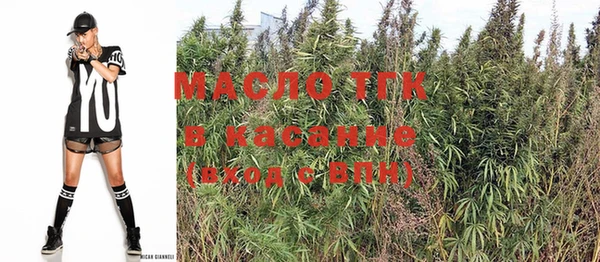 стаф Вязьма