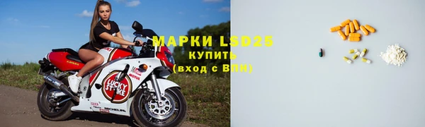 стаф Вязьма