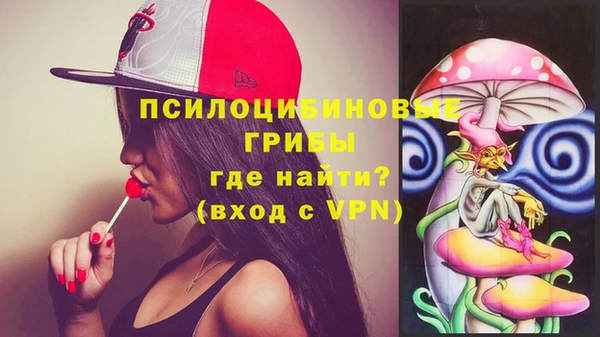 герыч Снежногорск