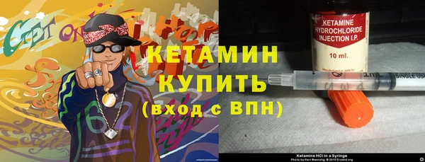 стаф Вязьма
