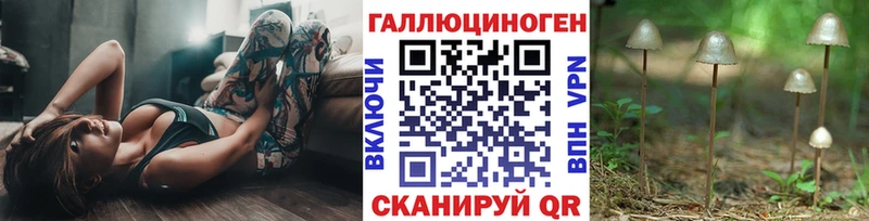 Псилоцибиновые грибы GOLDEN TEACHER Горнозаводск